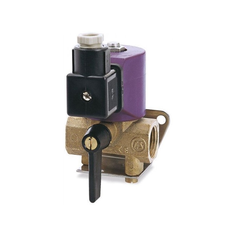 Quick Solenoid Valve 24V N80354702081