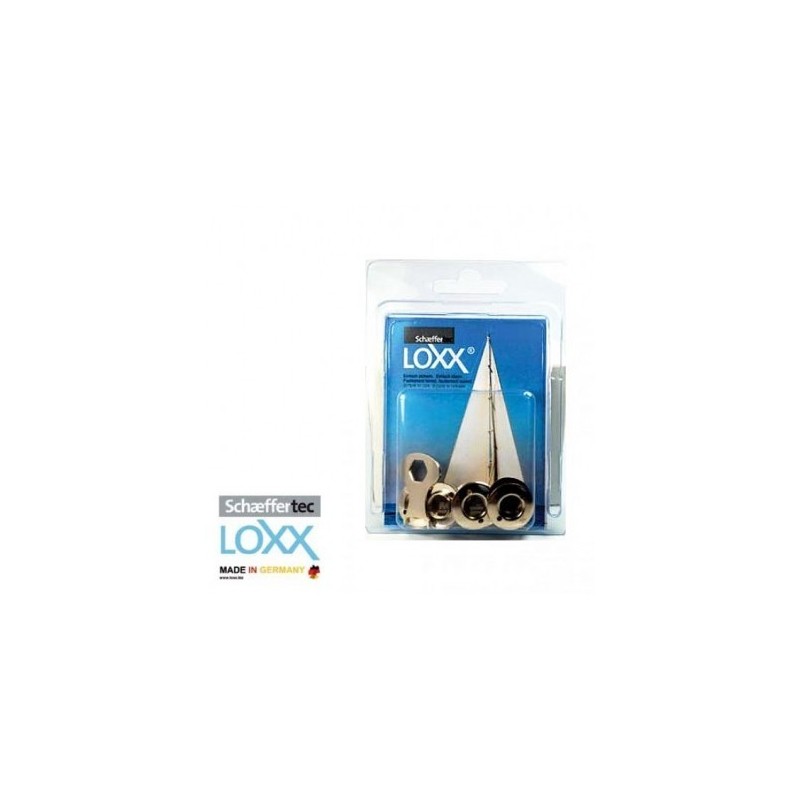 Blister 10pz Rondelle alte Loxx Tenax MT3214295-5%