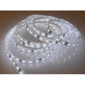 Striscia LED IP67 12v 5 Metri 10w/mt 60 LED5050/mt Luce Bianca Fredda N50227502104-20%
