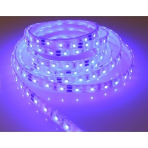 LED Strip Lights 12V 60 LED5050/mt Blue Light IP67 5mt 10W/mt N50227502106