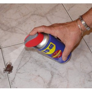 WD-40 250ml Rimuove grasso Lubrifica Elimina cigolii Sblocca Antiruggine N74149800000-10%