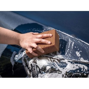 Cleaning sponge 200x140xh60mm for washing Boat Car Camper N714489COL999