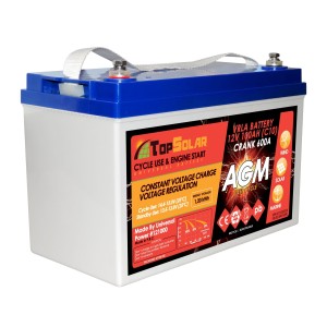 TopSolar Batteria AGM 100Ah C10 Solare Eolico Impianti Fotovoltaici N51120050930