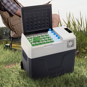 Mini Frigo Freezer portatile 50Lt 12/24/220V con App Control N40816080002-13.234%