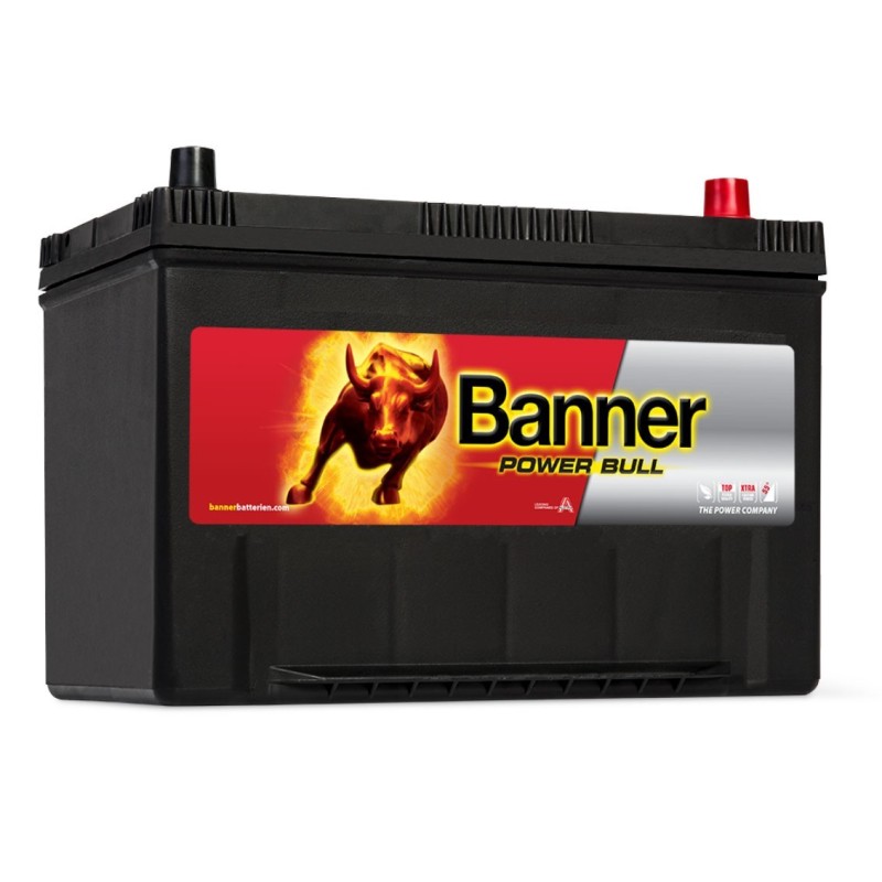 Batteria Banner 12V 95Ah Power Bull con spunto 740A per Auto Camper Barca N51120050550