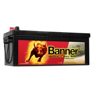 Batteria Banner 12V 225Ah Buffalo Bull SHD Professsional con spunto 1150A N51120050531