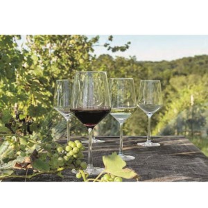 GLASS Wine Cup 420ml 79x220mm 4pcs N20217400020