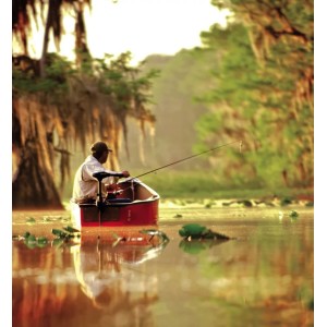 Minn Kota Endura C2 50/36 Motore elettrico da poppa acqua dolce 5 Marce KDJM1352274M