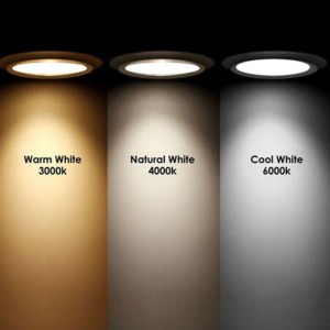 LED 12/24V 3W 3000K Ø30mm G4 Side-Mounted Bulb N50227502214