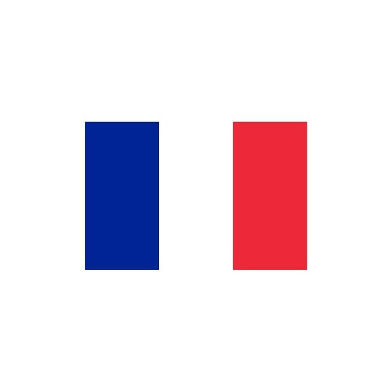 Flag of France 20X30cm N30112503735