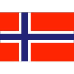 Bandiera Norvegia 20X30cm FNI5252353-5%