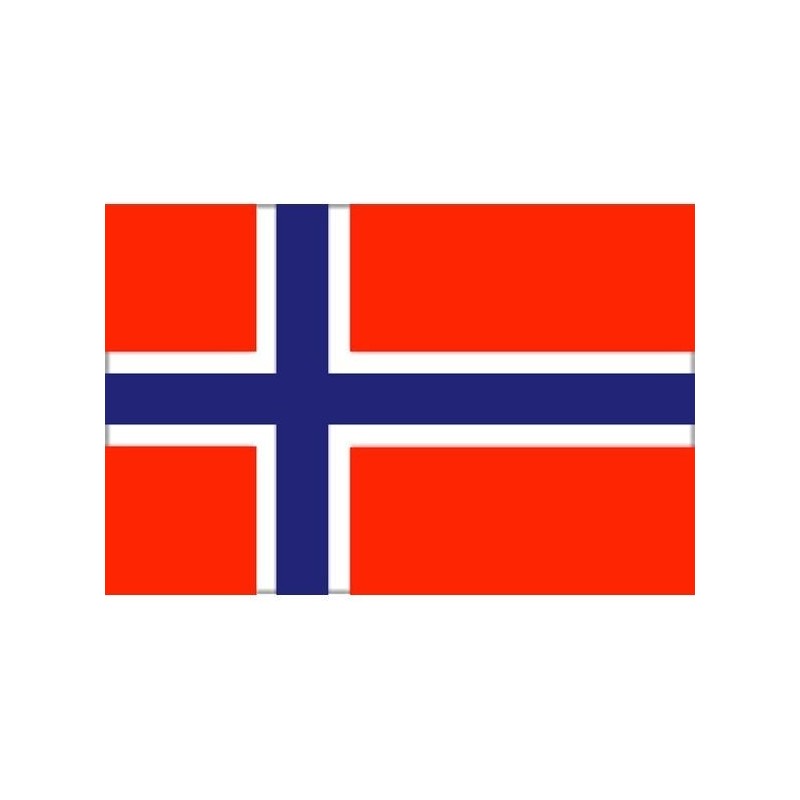 Bandiera Norvegia 20X30cm FNI5252353-5%
