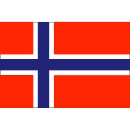 Bandiera Norvegia 20X30cm FNI5252353-5%