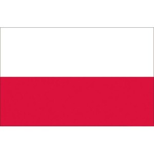 Bandiera Polonia 20x30cm N30112503695-40%