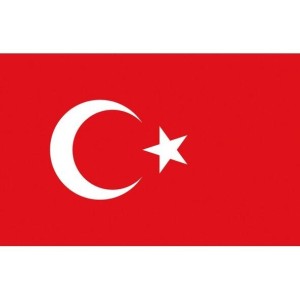 Turkey Flag 20x30cm N30112503715