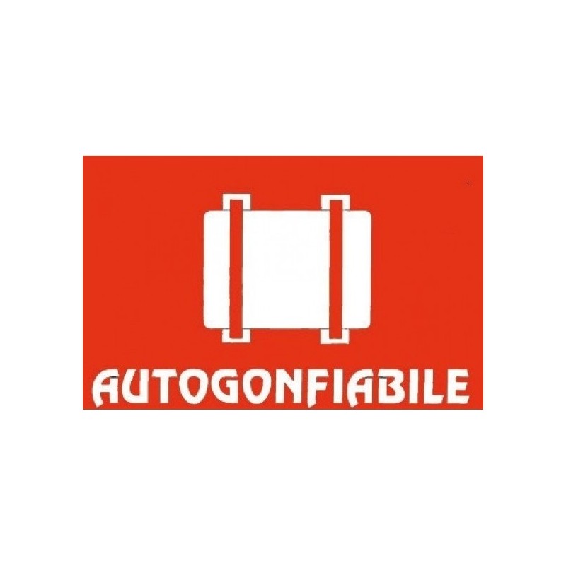 Adesivo CE Autogonfiabil 127x80mm in PVC Rosso Fondo Bianco N31812621835-40%