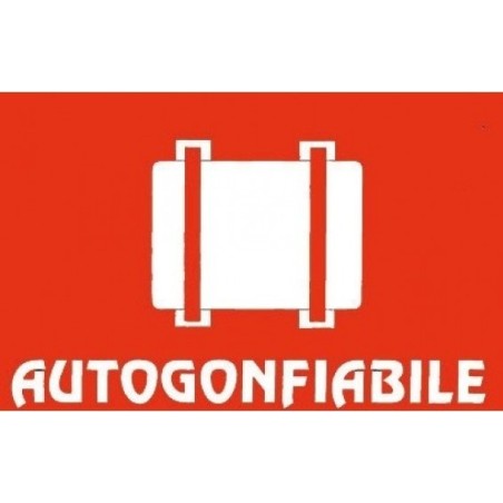 Adesivo CE Autogonfiabil 127x80mm in PVC Rosso Fondo Bianco N31812621835-40%