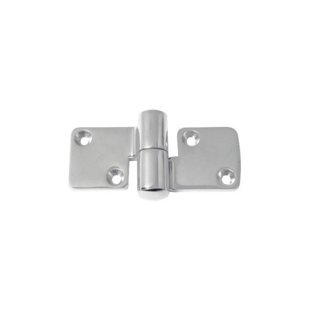 Stainless steel Removable Right-hand Hinge 100x50mm Thickness 5mm N60242240638