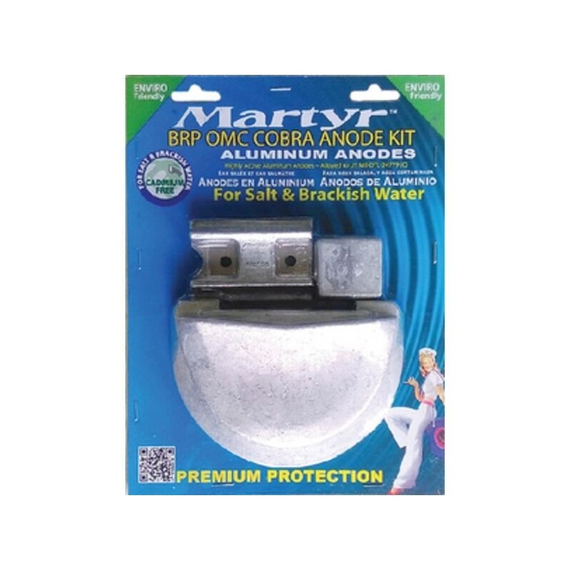 Kit anodi di Zinco per motori BRP OMC Cobra N80607030667-10%